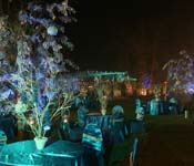 wedding planner in delhi ncr